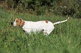 POINTER 027